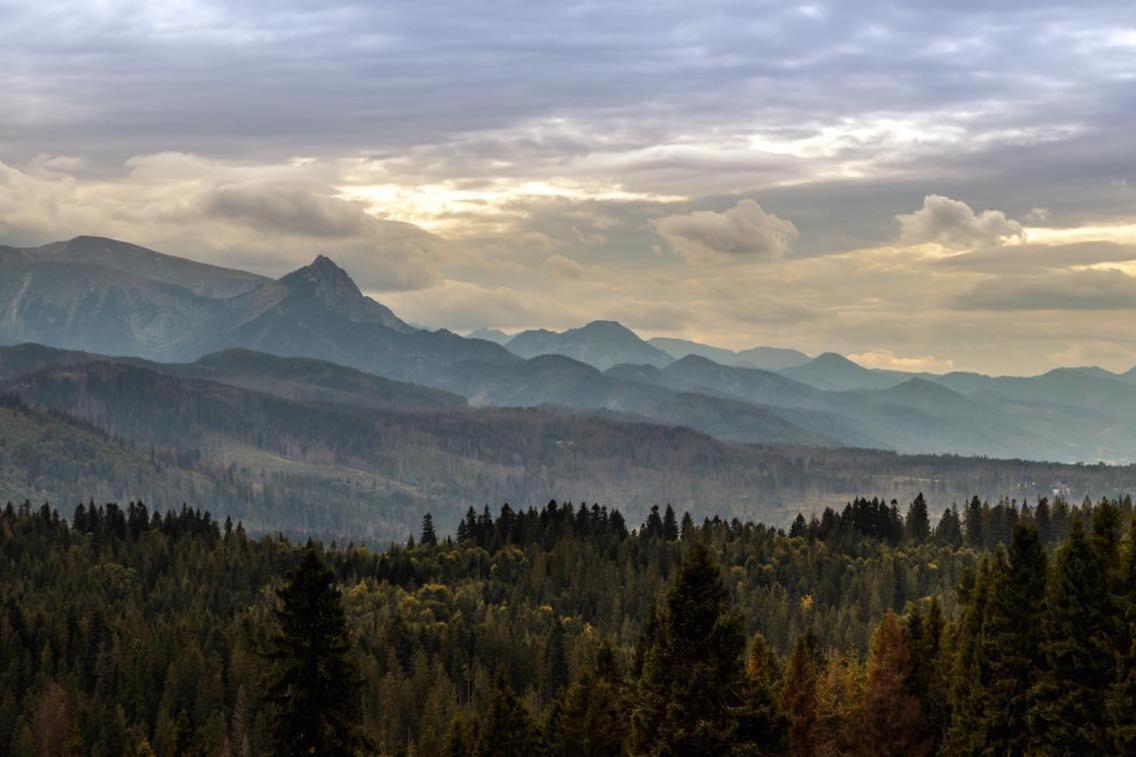 Noclegi Emma - Pokoje Goscinne Gliczarow Bagian luar foto